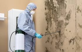 Best Emergency Mold Remediation  in Franklin Rk, PA